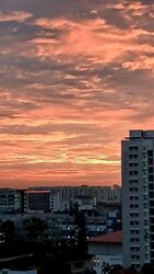 Blk 487 Admiralty Link (Sembawang), HDB 4 Rooms #568138761